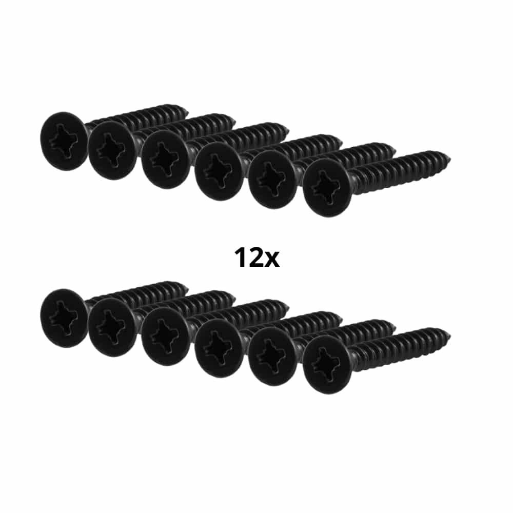Black Screw Set 12 Pieces